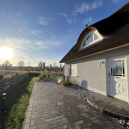 Organic Strandgut Parow